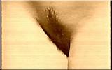 pussy close up